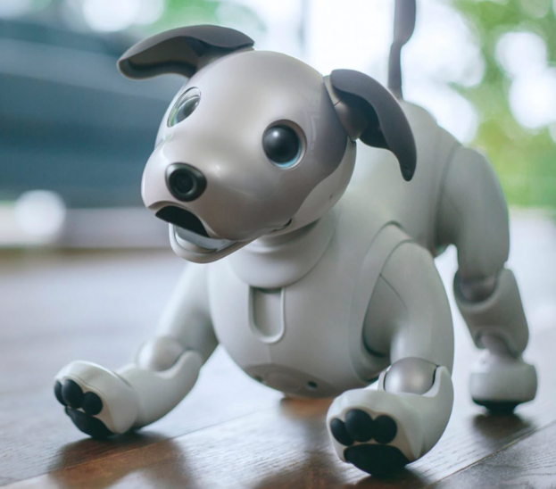 RoboDog